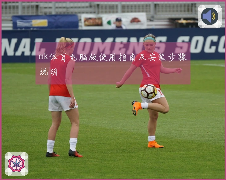 mk体育电脑版使用指南及安装步骤说明