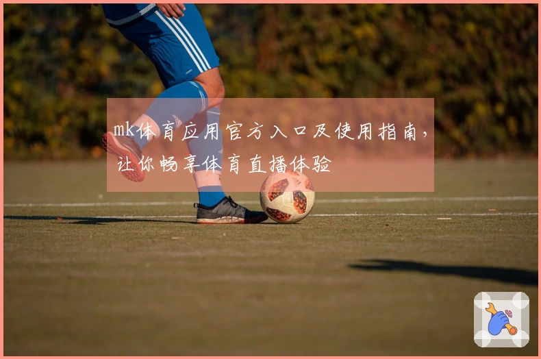 mk体育应用官方入口及使用指南，让你畅享体育直播体验