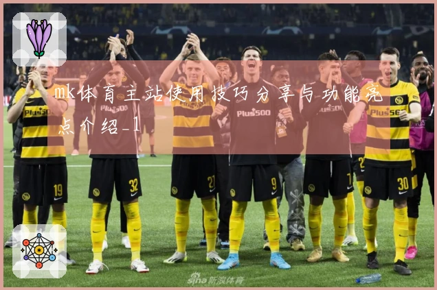mk体育主站使用技巧分享与功能亮点介绍_1